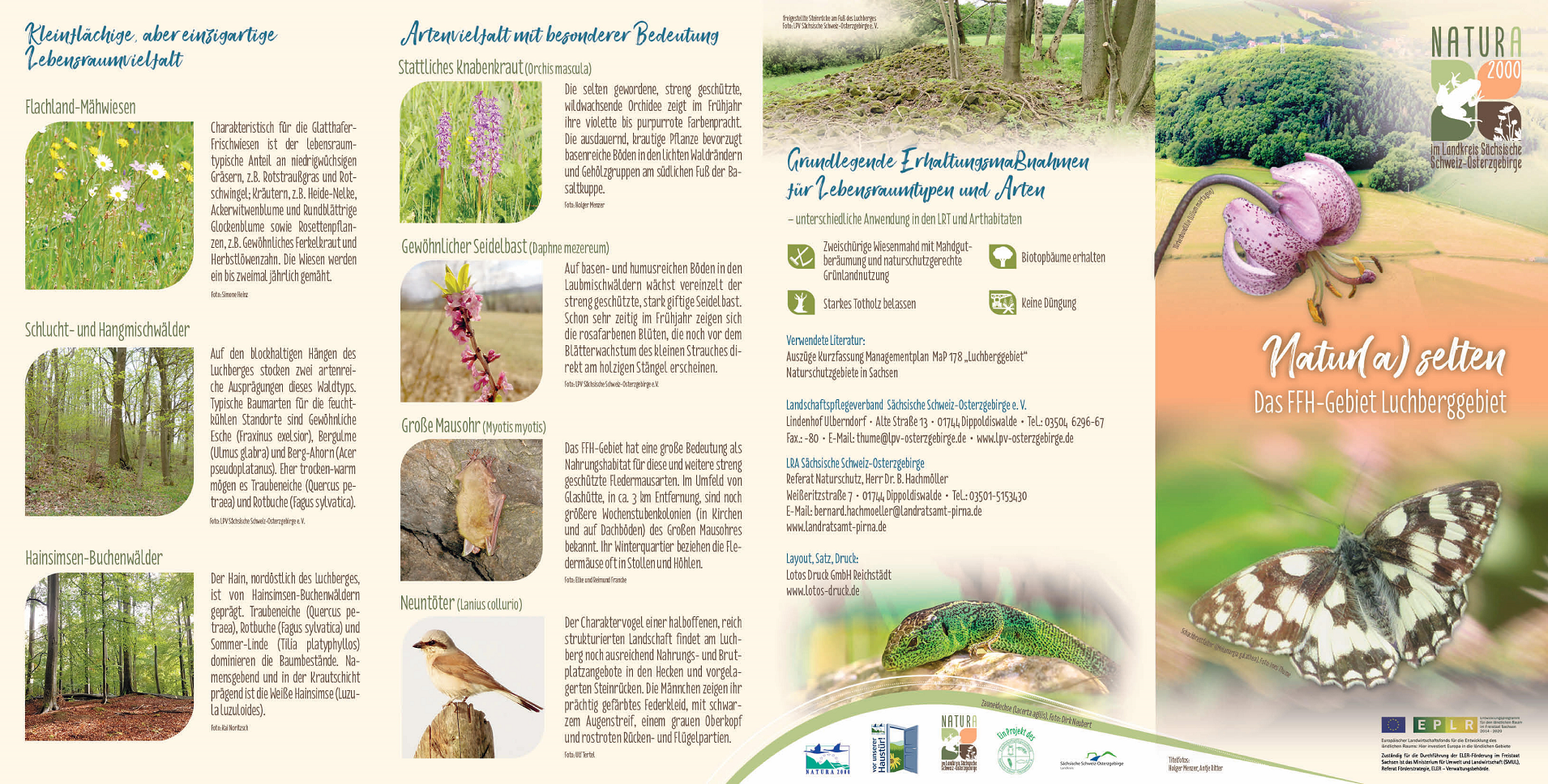tl_files/downloads/Bilder Projekte/Projektstellen/Natura 2000 1.0/Flyer/FFH-Gebiet_Luchberggebiet_1.png